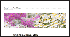 Desktop Screenshot of karlskronafotoklubb.org